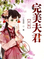 定制完美夫君封面