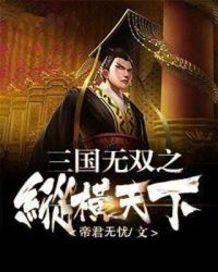 三国无双之纵横天下封面