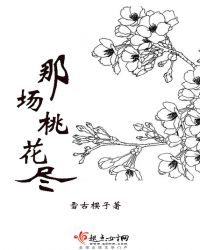 那場桃花盡封面