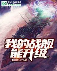 我的戰艦能升級封面