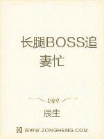 長腿BOSS追妻忙封面