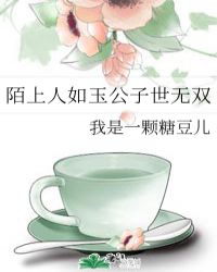 陌上人如玉公子世无双封面