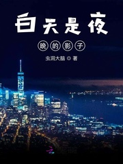 白天是夜晚的影子封面