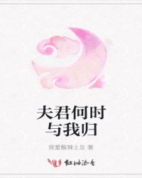 夫君何時與我歸封面