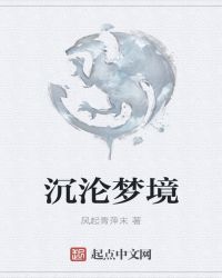 沉沦梦境封面