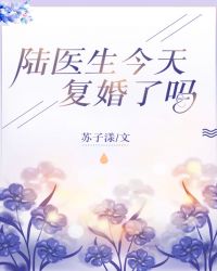 陆医生今天复婚了吗封面