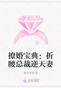 撩婚宝典：折腰总裁逆天妻封面