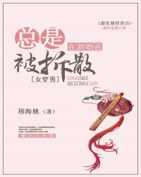 總是被拆散在新婚夜（女穿男）封面