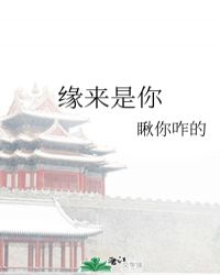 缘来是你封面