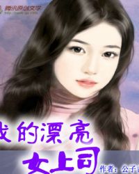 我的漂亮女上司封面