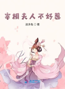 宰相夫人不好惹封面