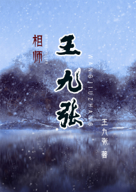 相师王九张封面