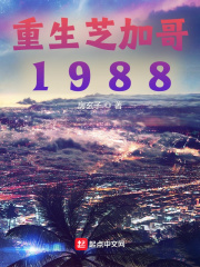 重生芝加哥1988封面