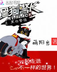 黑猫警长之黑白警侦封面