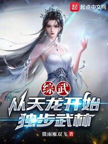 綜武：從天龍開始獨步武林封面