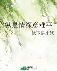 纵是情深意难平封面