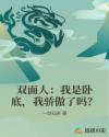 雙面人：我是卧底，我驕傲了嗎？封面