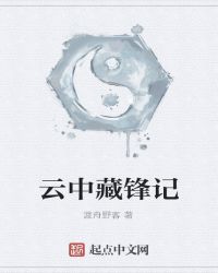 雲中藏鋒記封面