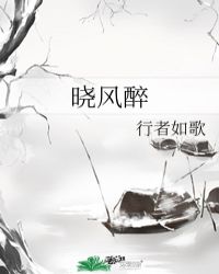 晓风醉封面