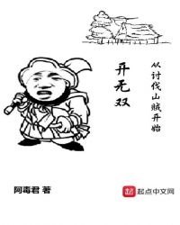 开无双从讨伐山贼开始封面