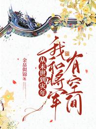 从未世到灾年：我和将军有空间封面