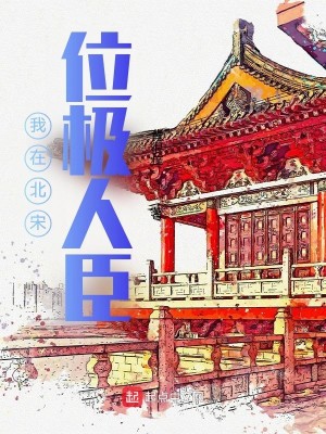 我在北宋位極人臣封面