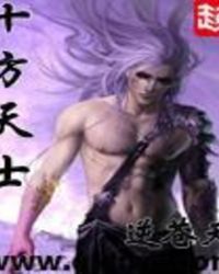 十方天士封面