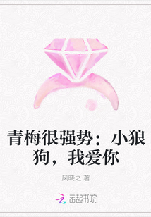 青梅很强势：小狼狗，我爱你封面