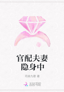 官配夫妻隱身中封面