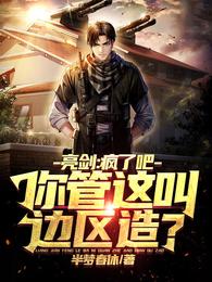 亮剑：疯了吧，你管这叫边区造？封面