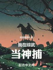 我在综武当神捕封面