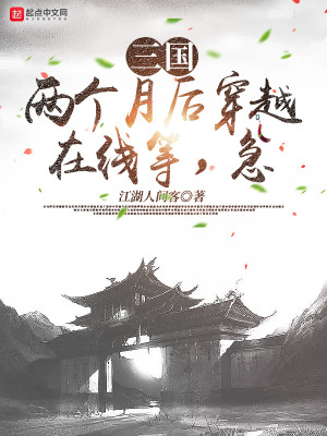 三国：两个月后穿越在线等，急！封面