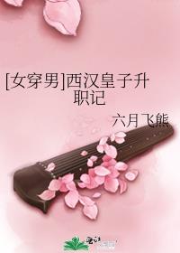 [女穿男]西漢皇子升職記封面