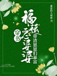 穿書福運惡婆婆，帶渣崽崽們暴富封面