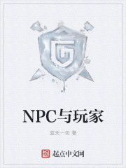 NPC与玩家封面