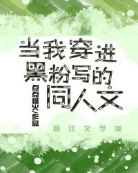 當我穿進黑粉寫的同人文封面