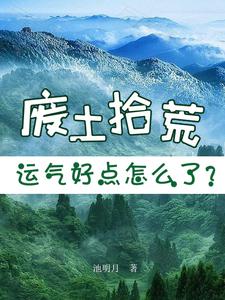 废土拾荒，运气好点怎么了？封面