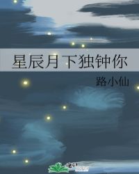 星辰月下独钟你封面