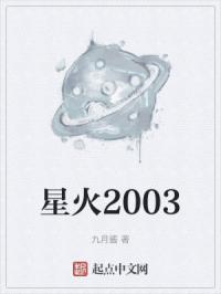 星火2003封面