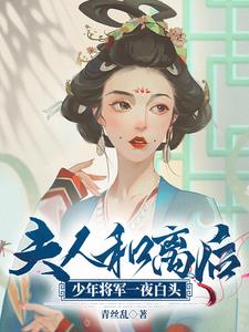 夫人和离后，少年将军一夜白头封面