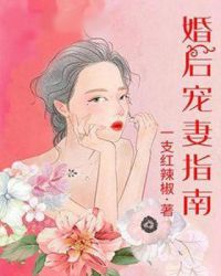 婚后宠妻指南封面