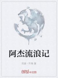 阿杰流浪记封面