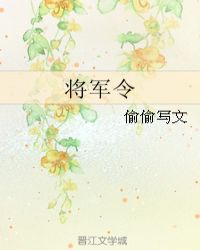 将军令封面