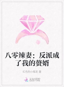 八零辣妻：反派成了我的贅婿封面