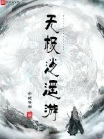 无极逍遥游封面