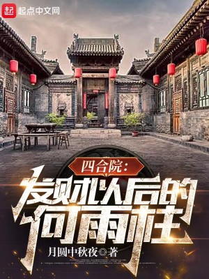 四合院：发财以后的何雨柱封面