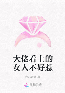 大佬看上的女人不好惹封面