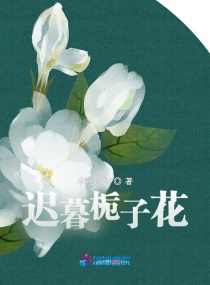 迟暮栀子花封面