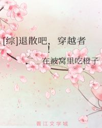 [综]退散吧，穿越者！封面