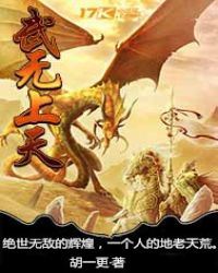 武无上天封面